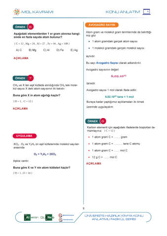 BKS-2 Kitabı ( AYT 1. Kitap )